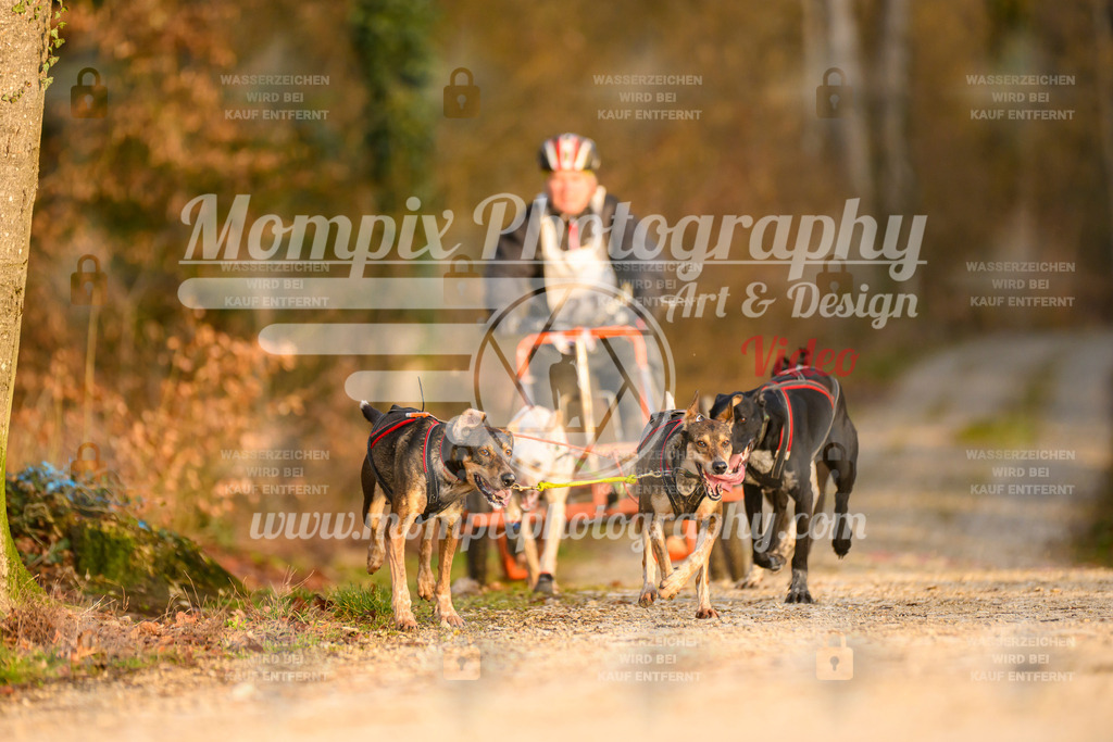 MompixPhotography_6ReiatRennen2026_SO_Kart-8 | PayLife
