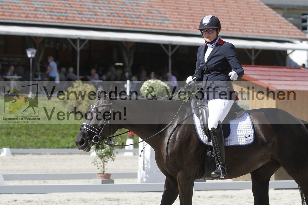 _MG_0272 | equestrian-live-com