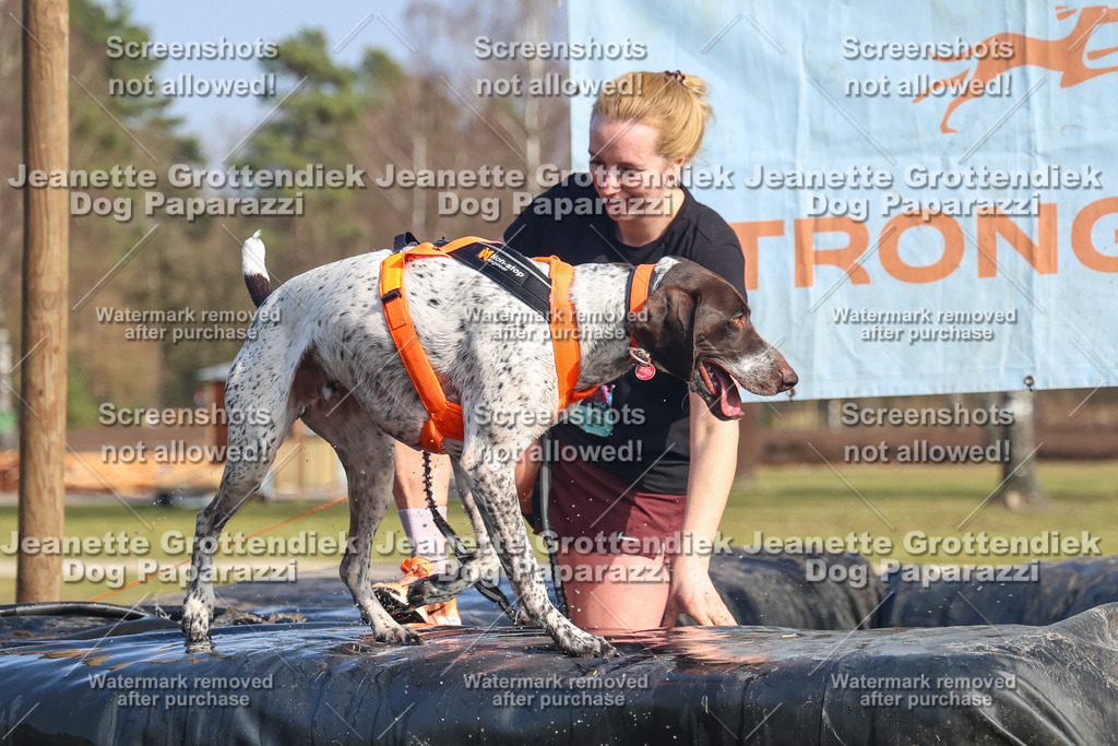 Dog Paparazzi - Strongdog North Mrz26-2981 | Dog Paparazzi Jeanette Grottendiek Fotografie & Videografie - Realisiert mit Pictrs.com