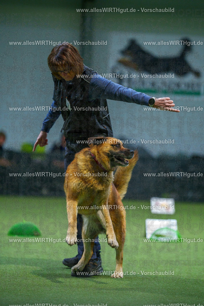 7R500659 | Professionelle Tierfotografie in Mönchengladbach von Daniel Wirth (allesWIRTHgut). Liebevolle & natürliche Bilder von Hunden & Katzen für unvergessliche Erinnerungen.