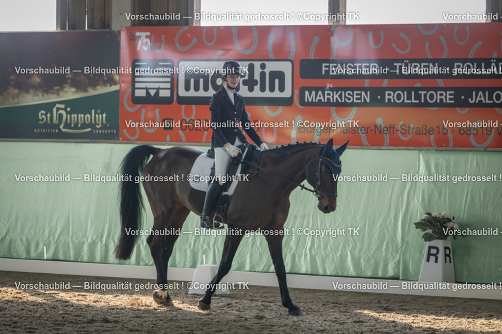 _D5A8406 | Emotionale Pferde- & People-Fotografie rund um Heidelberg, Leimen & Umgebung. Natürliche Fotos von Pferd, Mensch & Familie. Jetzt Termin sichern!