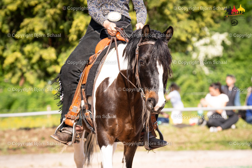 LMB08806 | BS-foto