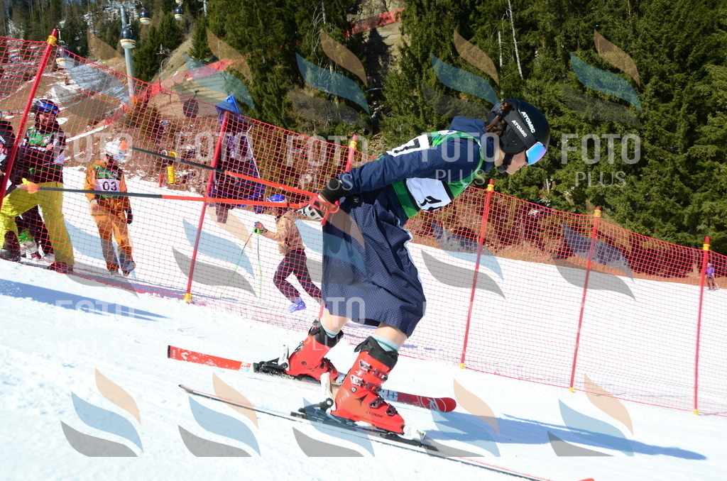 C6270 | holidayphoto