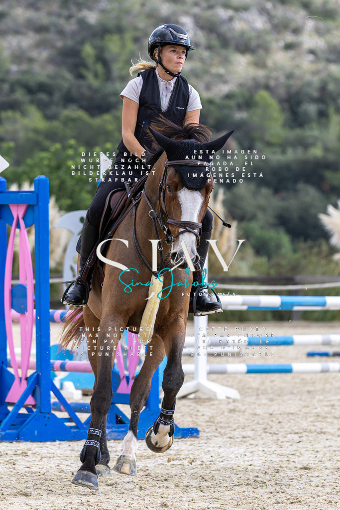 IMG_2861 | s-jay-photography - Realisiert mit Pictrs.com