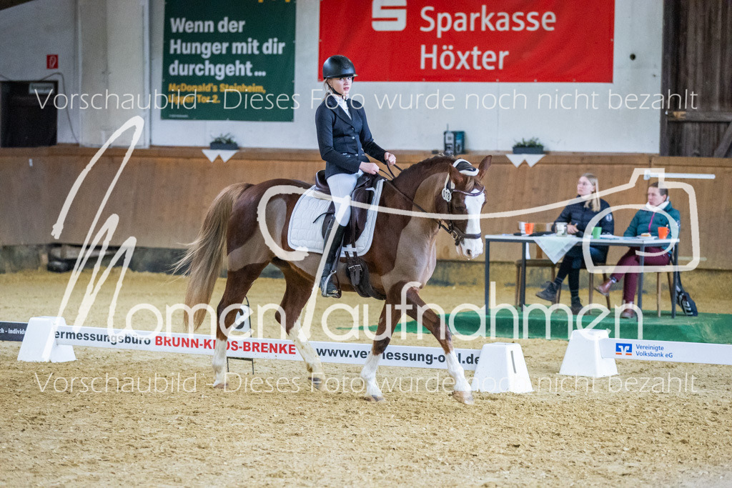 Sth-WBO25-EDr-066 | MomenTaufnahmen Pferdesportfotos