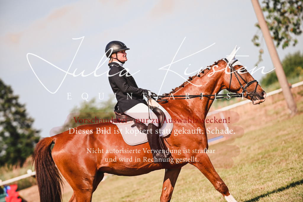 DSC_7347 | Pferde- und Turnierfotografie in Westsachsen. Pferdeportraits, Auftragszeichnungen und intuitive Kunst.