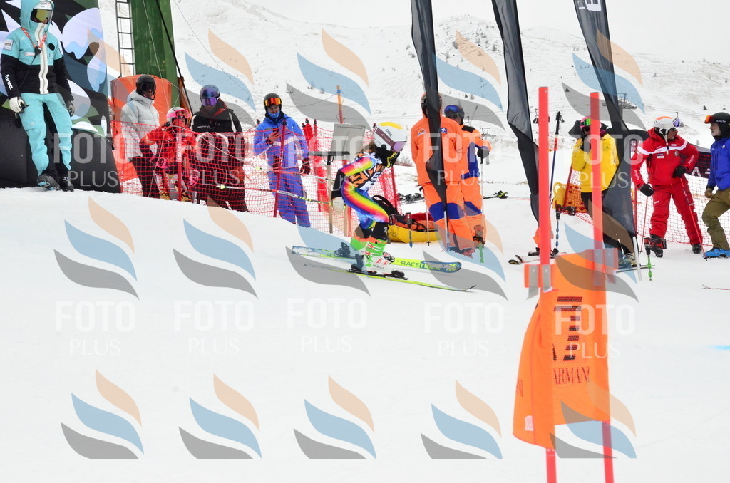 _ELE4046 | holidayphoto