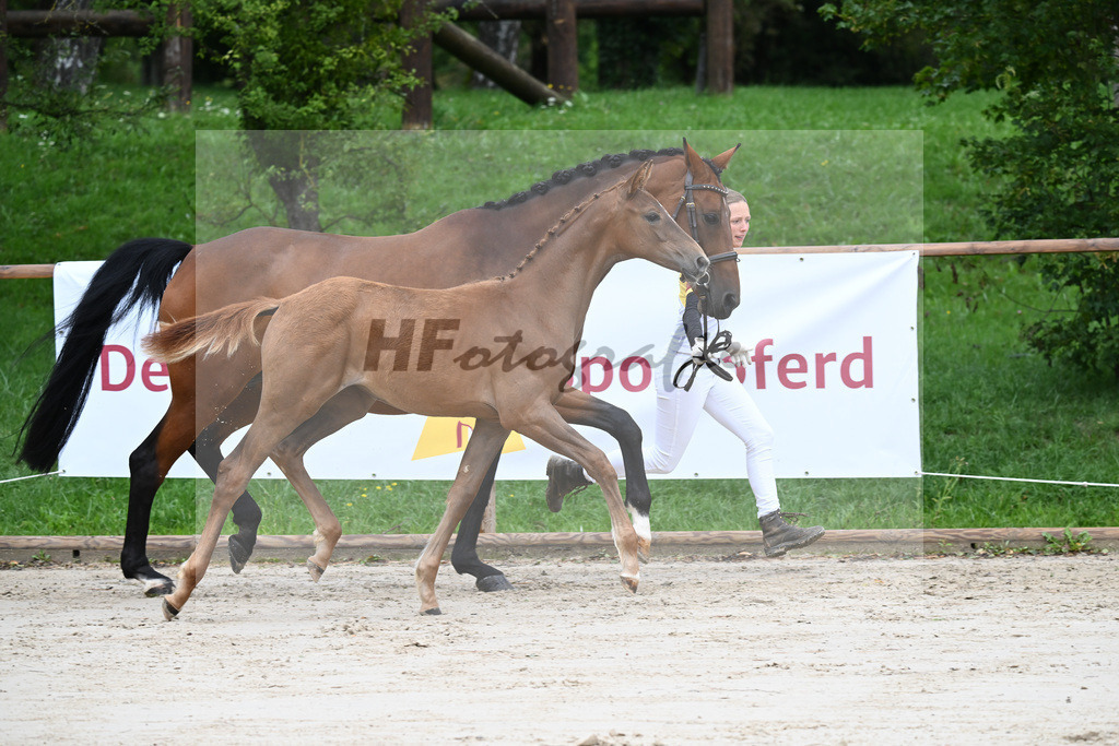 Kat-Nr. 2 SF Benicio_Schneider_25230032 | hf-fotografie - Realisiert mit Pictrs.com