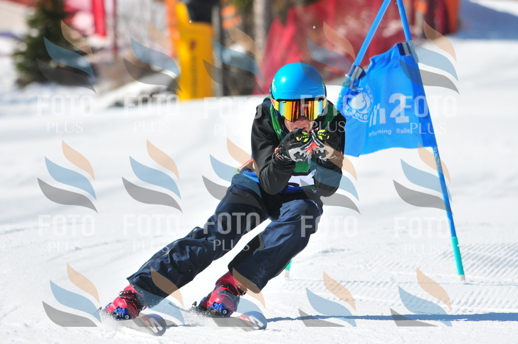 C3854 | holidayphoto