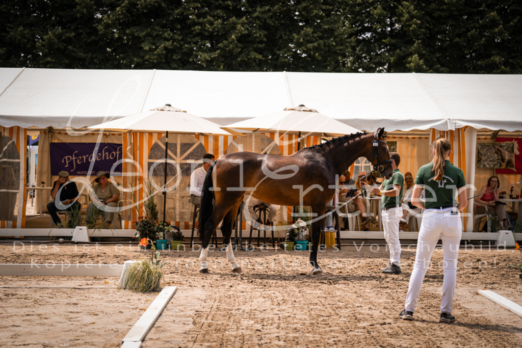 2. Fr00124 | Leoni Ertmer Photography - Realisiert mit Pictrs.com