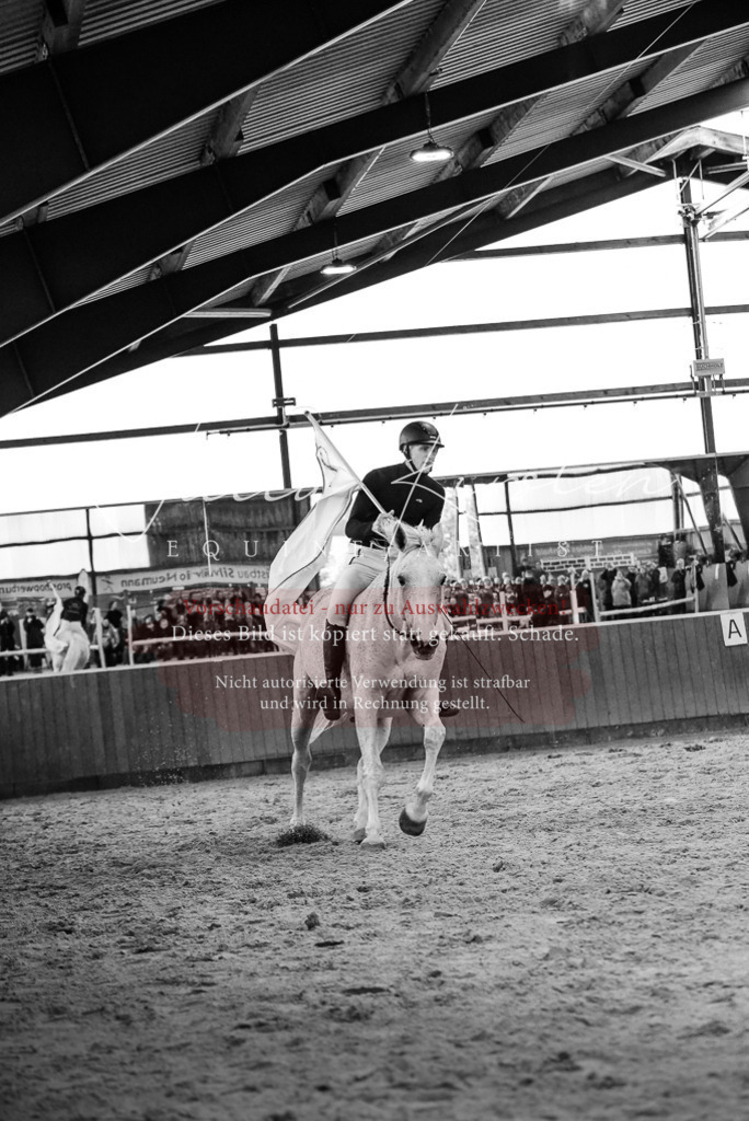 DSC_6993 | Pferde- und Turnierfotografie in Westsachsen. Pferdeportraits, Auftragszeichnungen und intuitive Kunst.