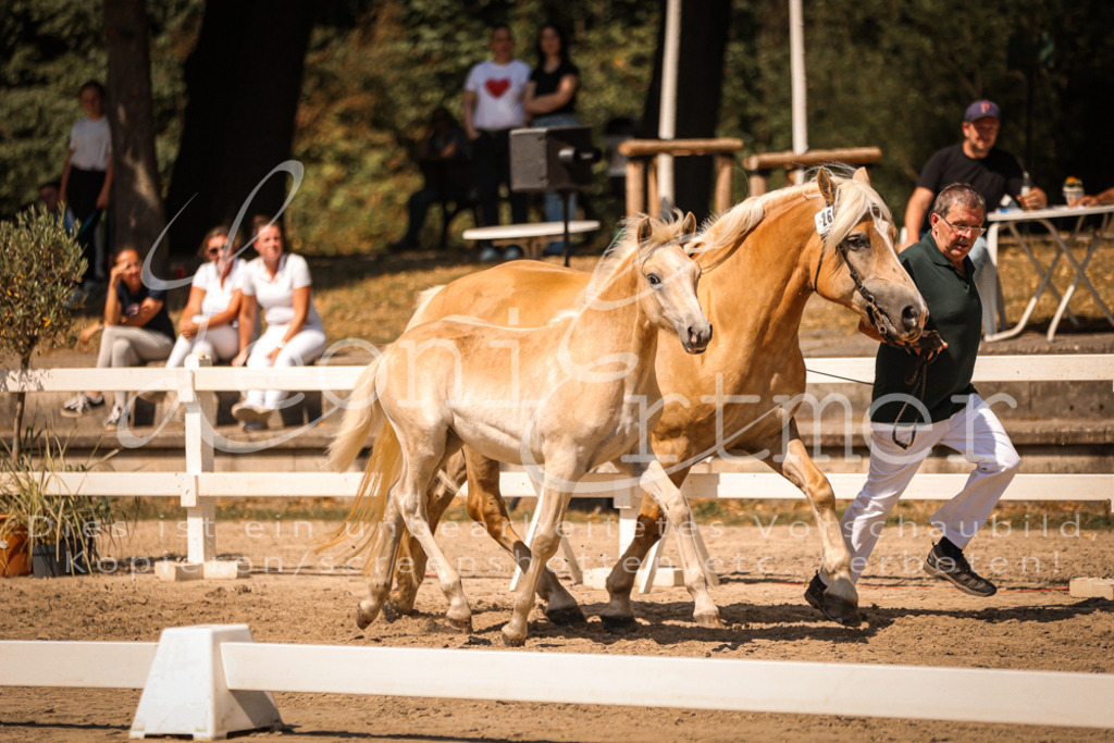 06.DoH00101 | Leoni Ertmer Photography - Realisiert mit Pictrs.com