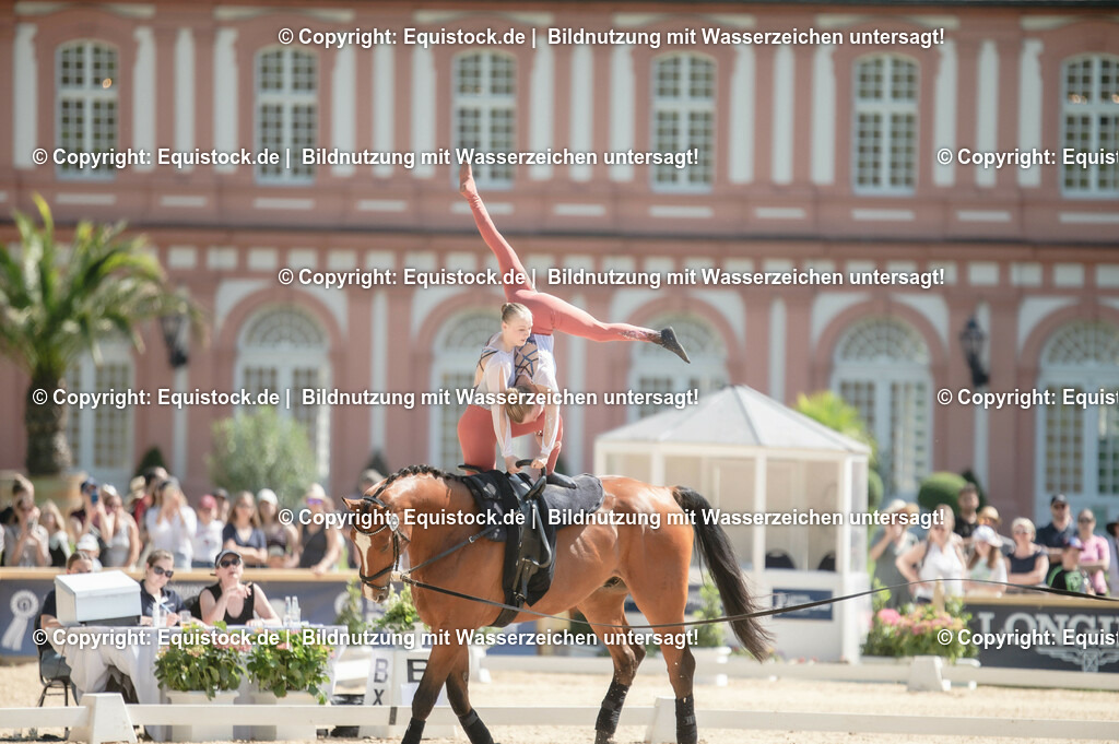 20230528_Voltigieren_NASPA_0395 | equistock