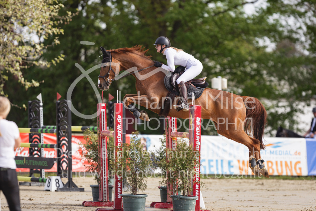 260503_Spenge_7_M2-Spr-m-steig-Anf-719 | Deine schönsten Turniermomente als professionelle Fotos! Entdecke hochwertige Pferdesport-Fotografie im Online-Shop. Jetzt Fotos finden & bestellen!