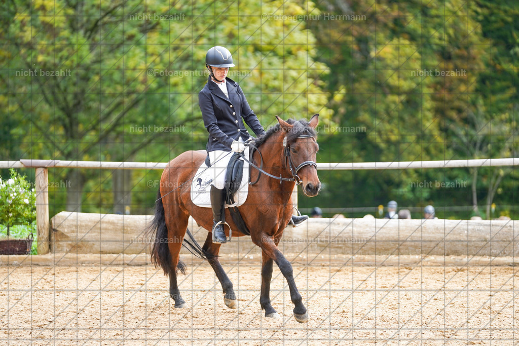 20221008-FAH01280 | Diessen am Ammersee, 2022, Dressur- und Springturnier, Reitsportbilder, Turnierfotografen Bayern, Pferdefotografen, Fotoagentur Herrmann, Turnierbilder