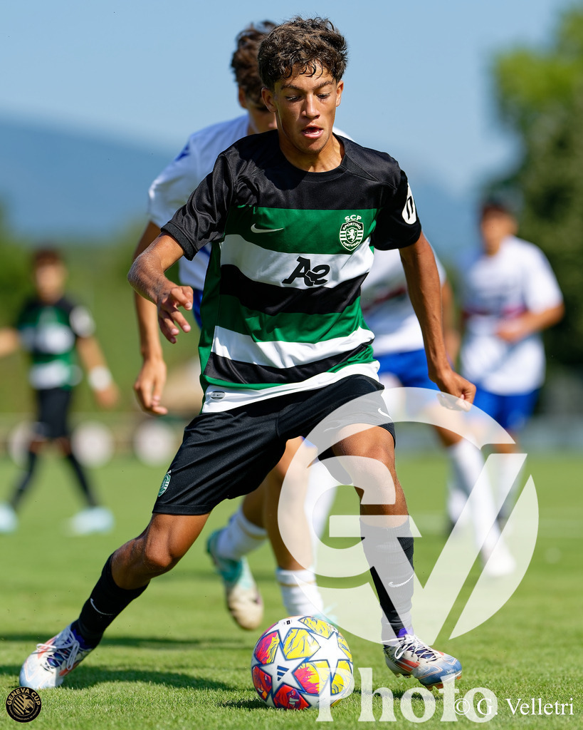 DZ8_9049 | Velletri Photo