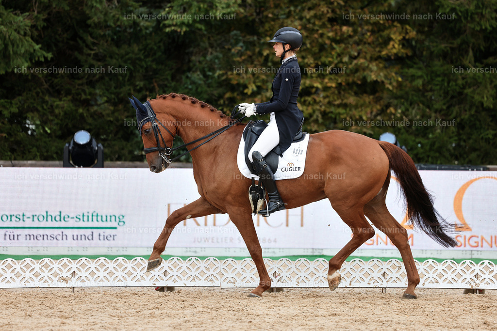 12-220-DRESSUR  S___  -StoibPH-5308 | working equitationturnier fotograf videograf stoibphotography marixx film working equitation deutschland reitsport turnierfotografie eventfotografie equestrian events