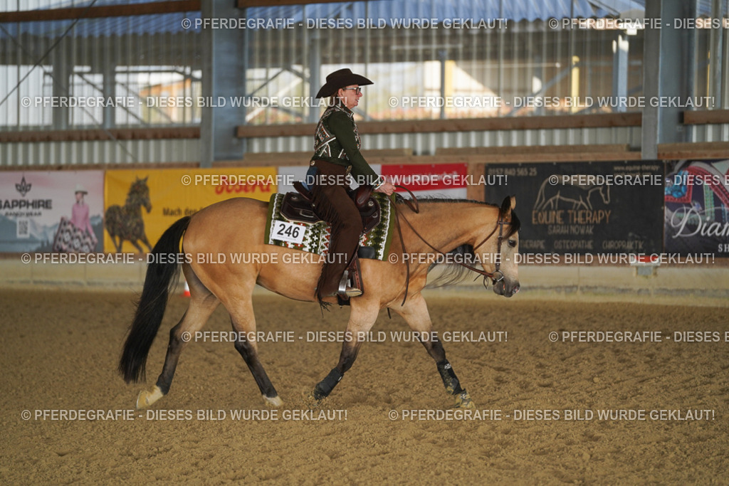 DSC08323 | Pferdegrafie