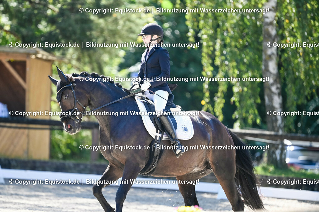 20230908_06_Dressur-L-Trense_0578 | equistock