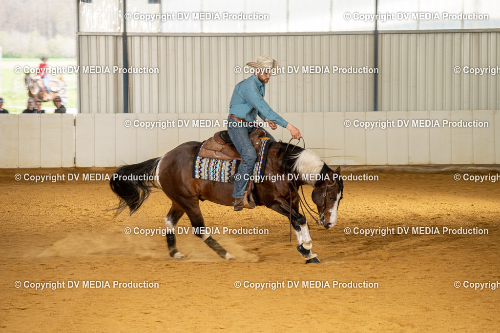 MIT01097 | dv-media-shop - Realisiert mit Pictrs.com