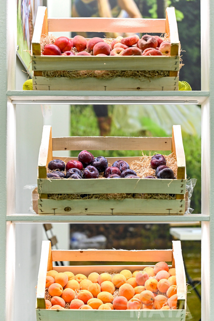 _DWI3640 | Das Herz der internationalen Bio-Branche schlug vom 26.–29.07.2022 für vier Tage in Nürnberg. Die BIOFACH, Weltleitmesse für Bio-Lebensmittel, und die VIVANESS, Internationale Fachmesse für Naturkosmetik, meldet sich mit der einmaligen „Summer Edition“ zurück. Groß war die Wiedersehensfreude der über 24.000 Fachbesucher aus 137 Ländern. Im Fokus: Der persönliche Austausch, Networking und vertiefte Gespräche zu den Themen der Zeit. Aber auch: Neuheiten und Trends entdecken und eintauchen mit allen Sinnen in die Produktvielfalt der 2.276 Aussteller aus 94 Ländern. Nürnberg, 29.07.2022 - Realisiert mit Pictrs.com