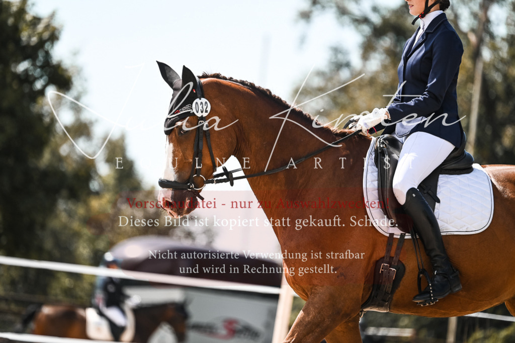 DSC_5522 | Pferde- und Turnierfotografie in Westsachsen. Pferdeportraits, Auftragszeichnungen und intuitive Kunst.