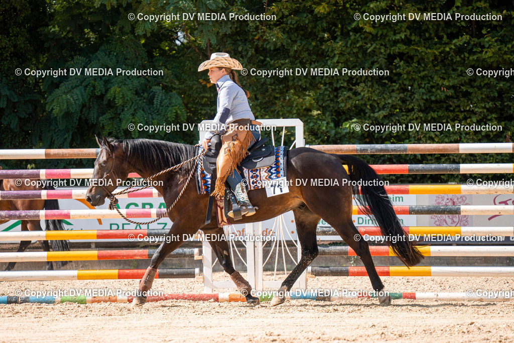 ZH100340 | dv-media-shop - Realisiert mit Pictrs.com