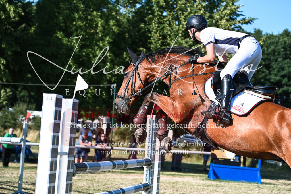 DSC_2666 | Pferde- und Turnierfotografie in Westsachsen. Pferdeportraits, Auftragszeichnungen und intuitive Kunst.