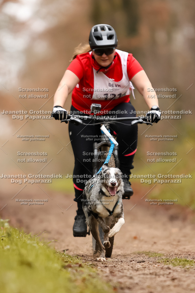 Dog Paparazzi - Speedhunter Mannheim  2025-335 | Dog Paparazzi Jeanette Grottendiek Fotografie & Videografie