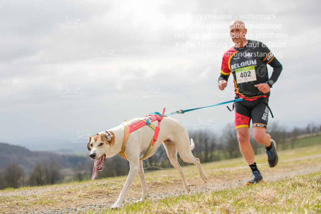 CaniXRunSA-31 | stephaniefillaphotographie - Realisiert mit Pictrs.com