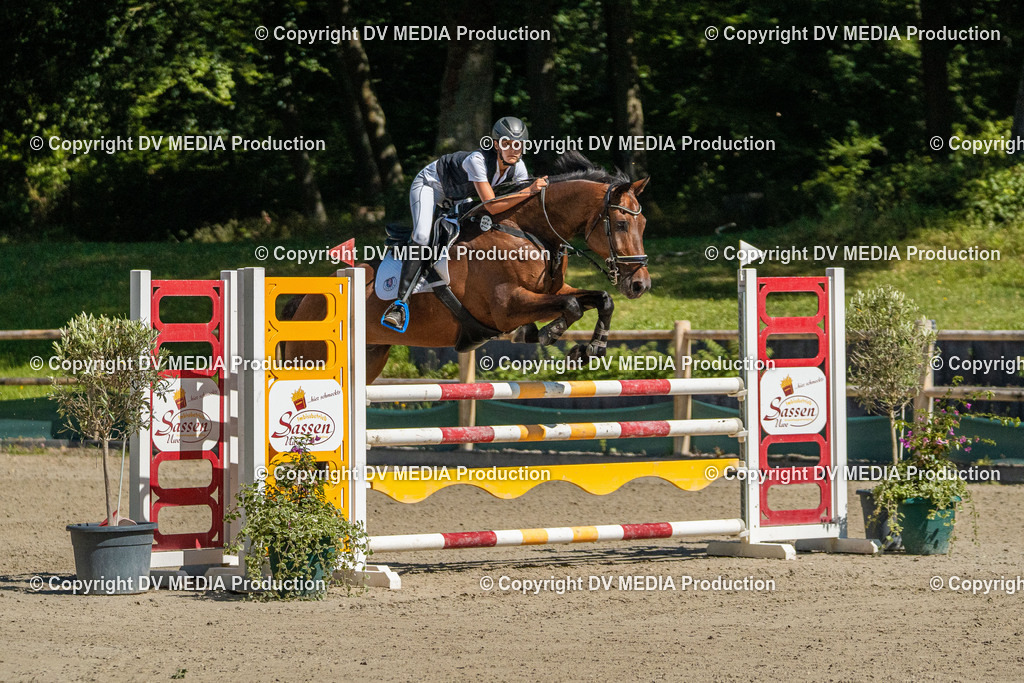 Hessische Tag 3-133 | dv-media-shop - Realisiert mit Pictrs.com