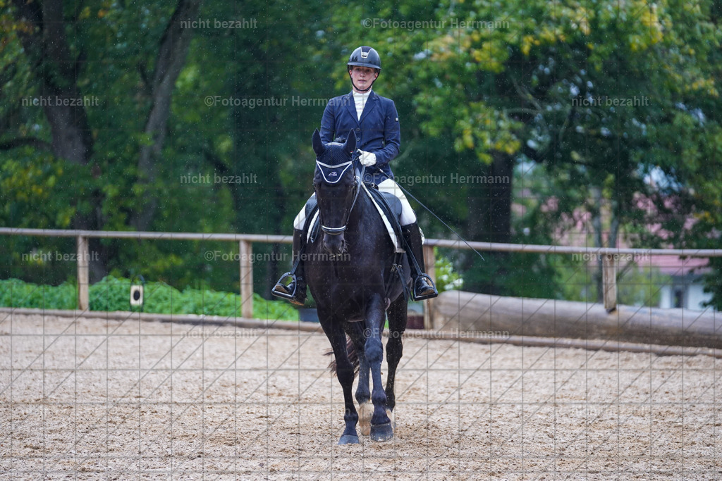20221008-FAH02154 | Diessen am Ammersee, 2022, Dressur- und Springturnier, Reitsportbilder, Turnierfotografen Bayern, Pferdefotografen, Fotoagentur Herrmann, Turnierbilder