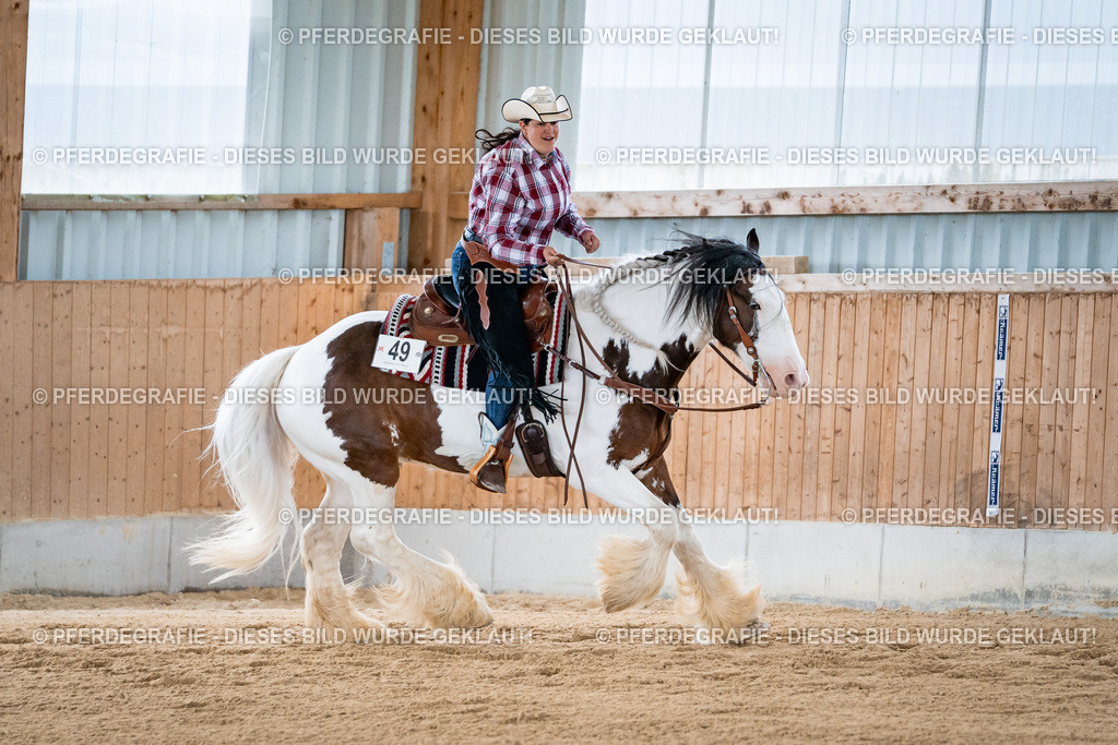 DSC08552 | Pferdegrafie