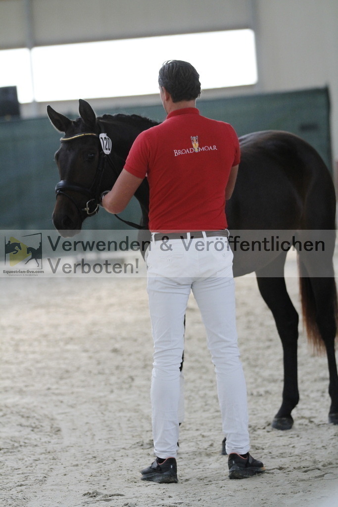 _MG_9386 | equestrian-live-com