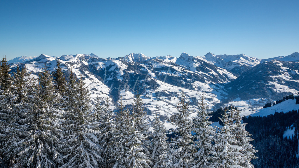 DSC05566 | Professioneller Fotograf - Bildbestellung online - Wandbilder vom Profi für ihr Zuhause, Büro, Praxis, Firma - große Auswahl an Materialien und Formaten, über 1400 regionale Motive