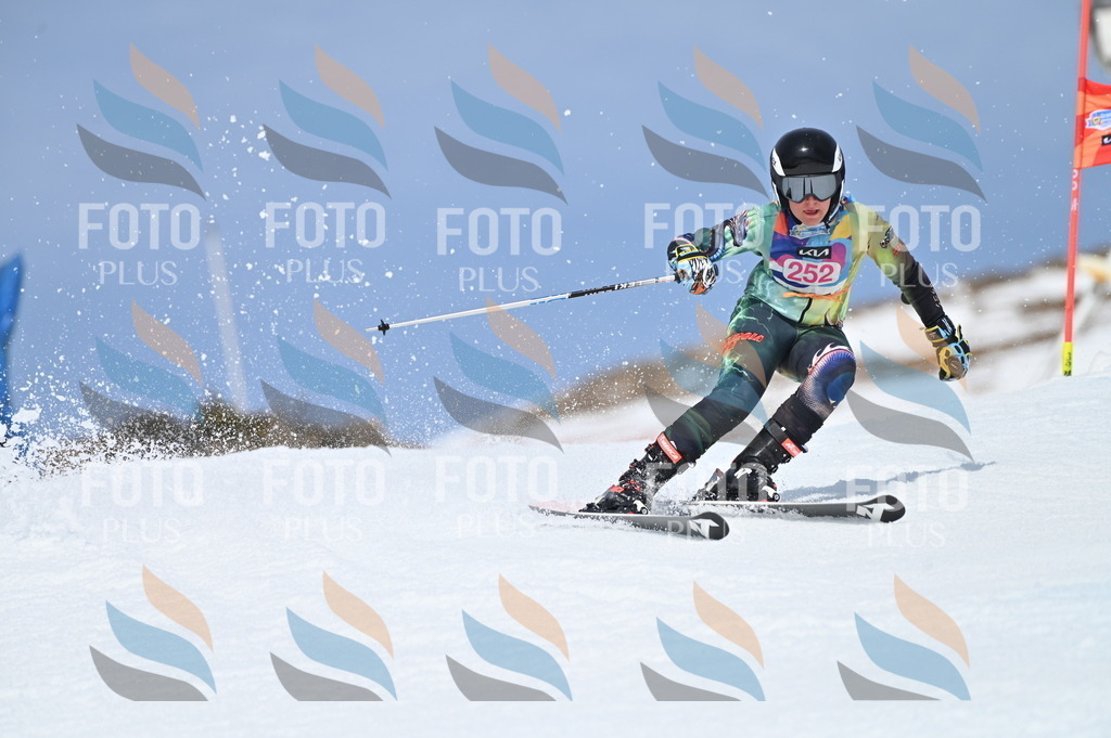 BGV_1916 | holidayphoto