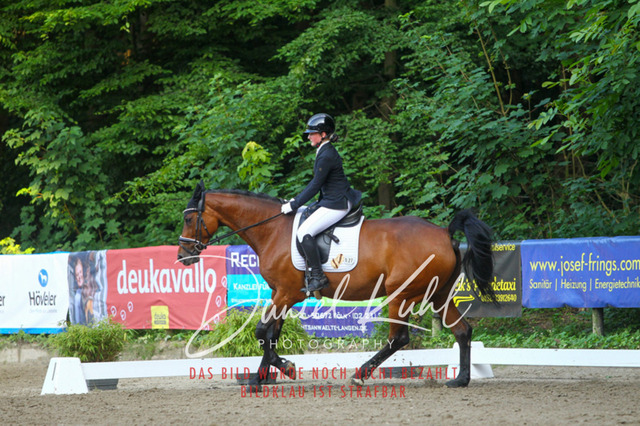 DKP43164 | Turniersportfotografie; Pferdefotografie; Dressurfotografie