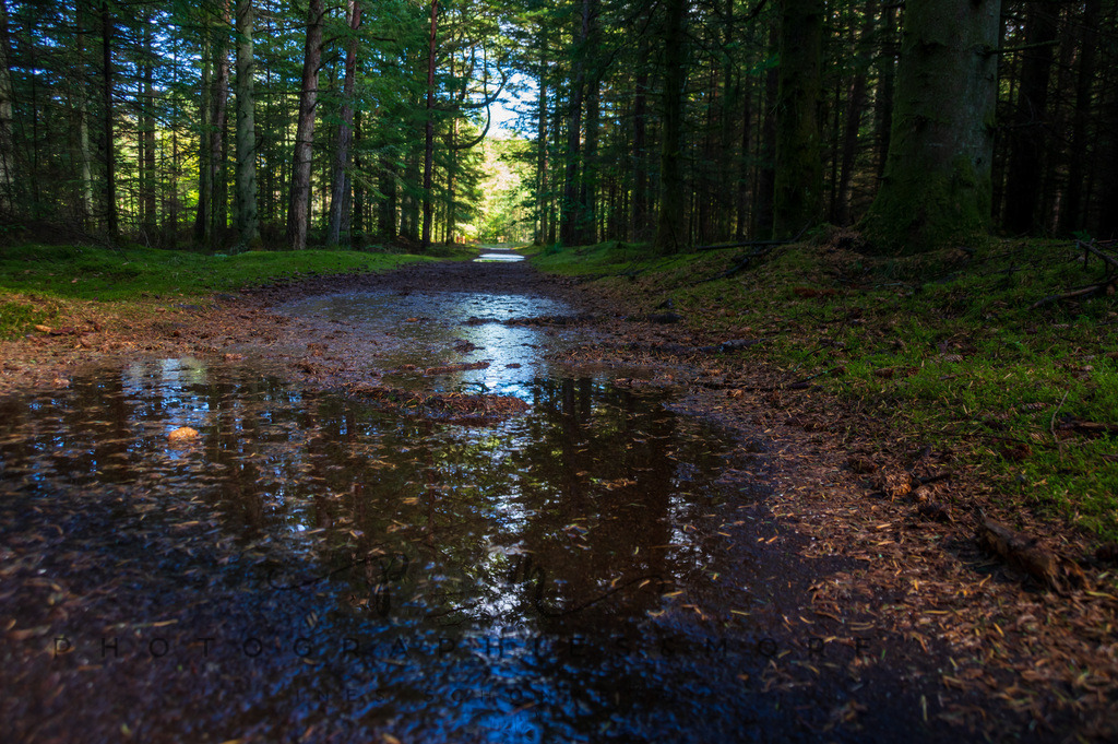 _Reservat2022-1549 | Photographies and more - Realisiert mit Pictrs.com