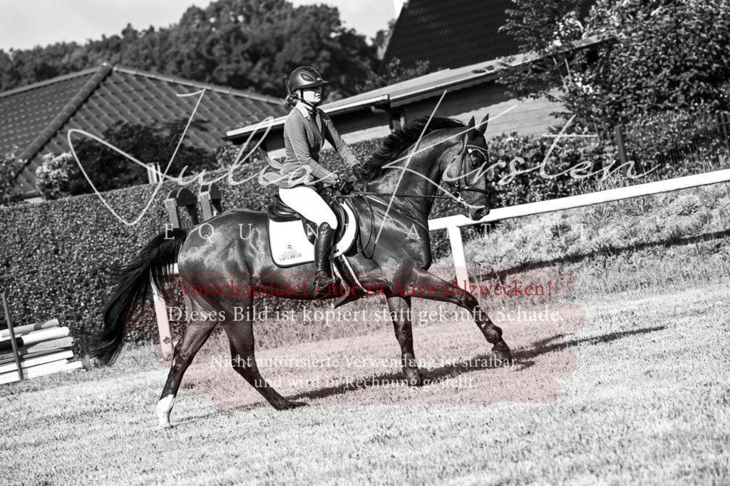 DSC_7549 | Pferde- und Turnierfotografie in Westsachsen. Pferdeportraits, Auftragszeichnungen und intuitive Kunst.