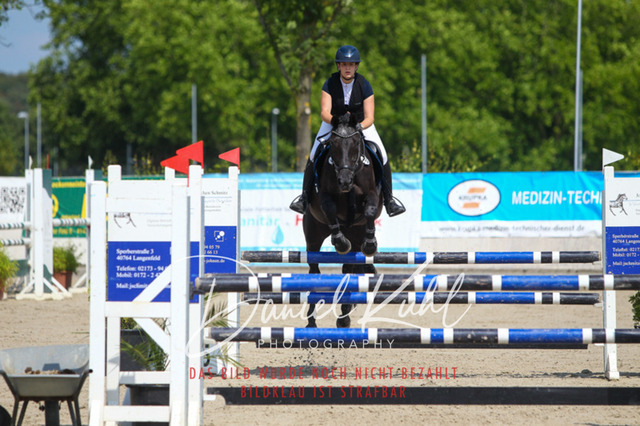 Gut Blee25_Amateuer Stilsprpfg Kl L_0267 | Turniersportfotografie; Pferdefotografie; Dressurfotografie