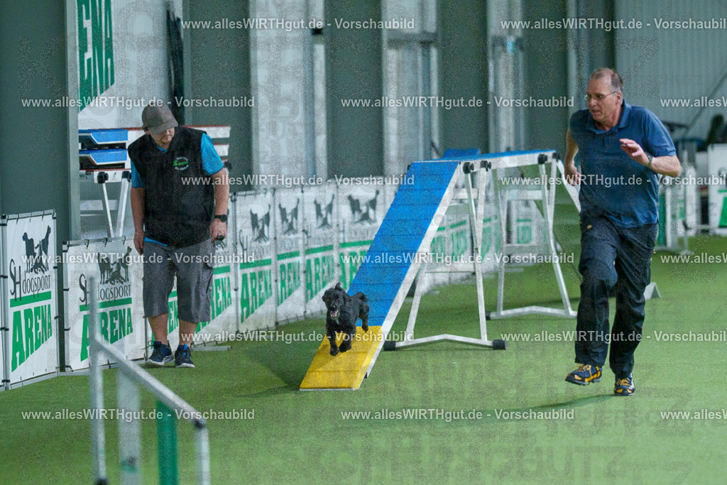 @allesWIRTHgut_Tierfotografie - www.allesWIRTHgut.de - 2604251555-7R506439 | Professionelle Tierfotografie in Mönchengladbach von Daniel Wirth (allesWIRTHgut). Liebevolle & natürliche Bilder von Hunden & Katzen für unvergessliche Erinnerungen.