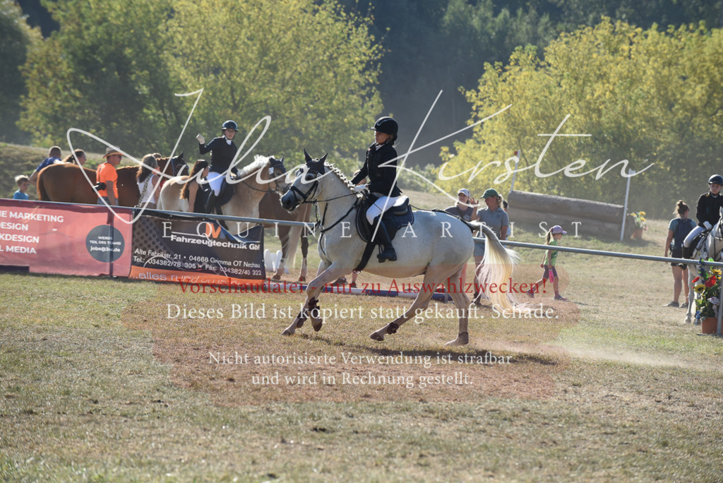 DSC_5861 | Pferde- und Turnierfotografie in Westsachsen. Pferdeportraits, Auftragszeichnungen und intuitive Kunst.