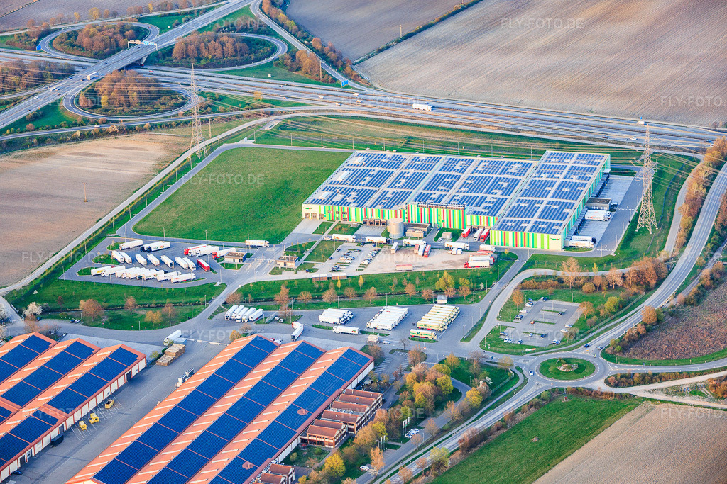 Luftbild: Neue Hallen des Pfalzmarkt für Obst und Gemüse eG in Mutterstadt im Bundesland Rheinland-Pfalz in Deutschland. Foto: IMG_153864.jpg vom 23.03.2026 durch Werner Riehm/FLY-FOTO.deAuflösung des Originals: 5791 x 3861 pxPfalzmarkt