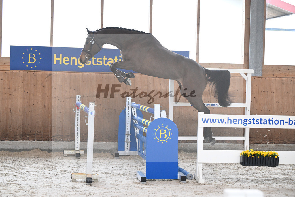 Kat-Nr. 50 Rosalina B v. Vingino_Bachl_14260034 | hf-fotografie - Realizzato con Pictrs.com