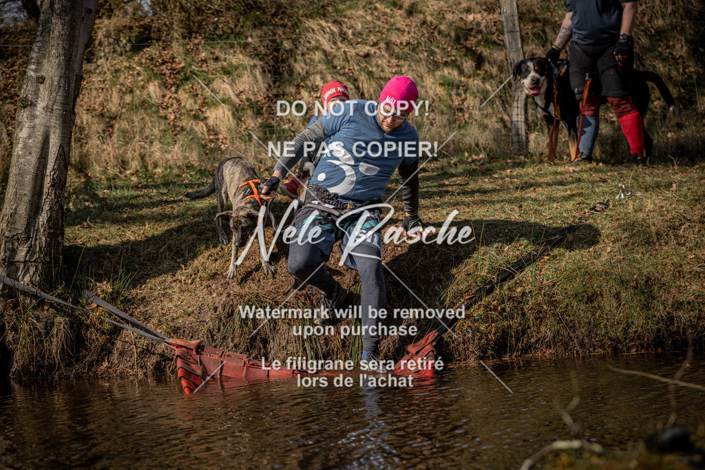 nelerasche_FS1330-1400_14 | nelerasche