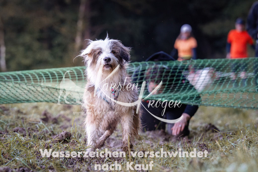 0848_ZZ91030 | kk-dogfotos
