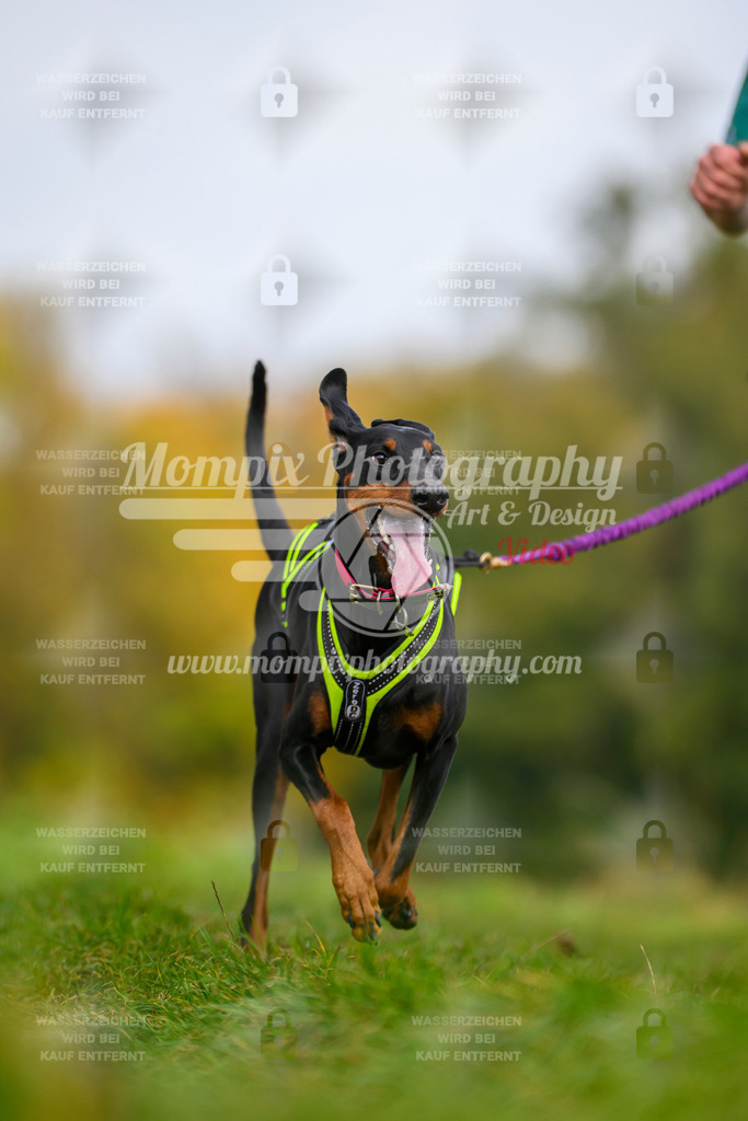 MompixPhotography_CDLBDB2025_DI_CC-90 | PayLife