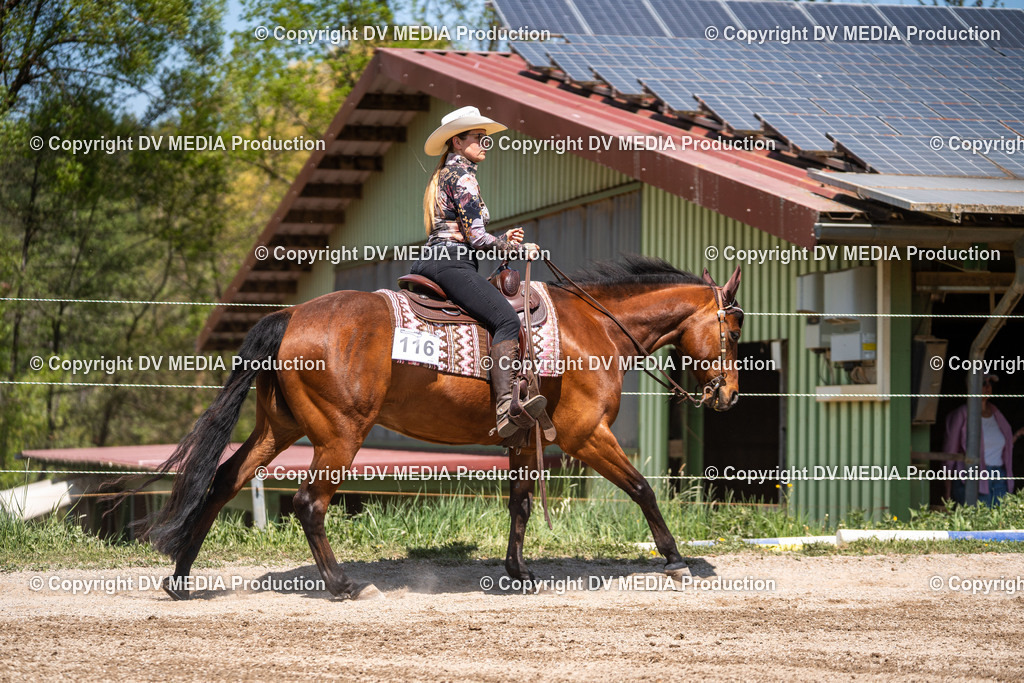 Balingen Tag 2-1073 | dv-media-shop - Realisiert mit Pictrs.com