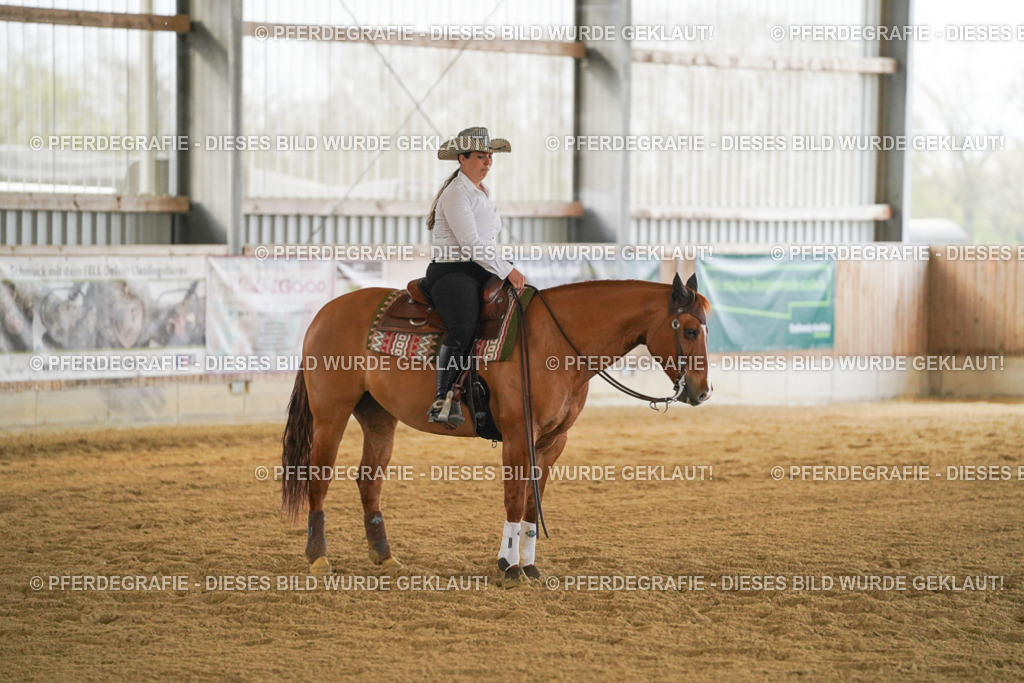 DSC08259 | Pferdegrafie