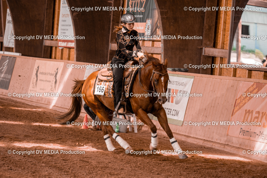 NE300753 | dv-media-shop - Realisiert mit Pictrs.com